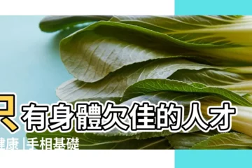 【不健康的生命線】只有身體欠佳的人才有健康 |手相基礎學 |女中醫師教你從 |