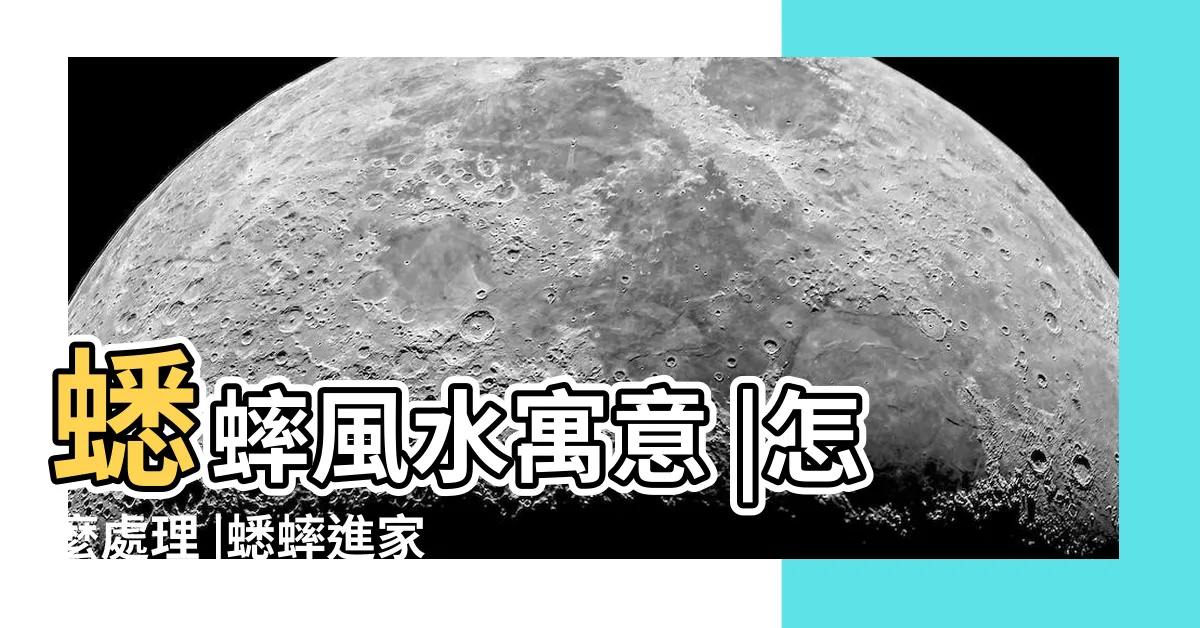 【蟋蟀跑進家裡】蟋蟀風水寓意 |怎麼處理 |蟋蟀進家裏叫是好事還是壞事 |