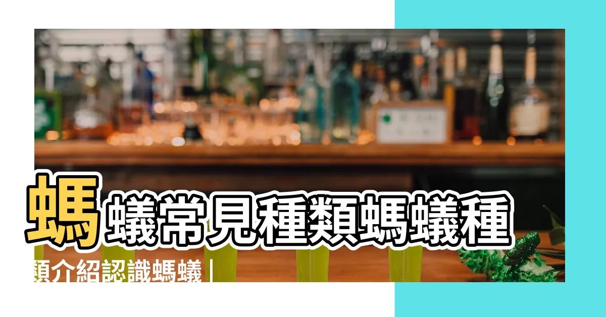 【一般螞蟻】螞蟻常見種類螞蟻種類介紹認識螞蟻 |螞蟻種類介紹 |