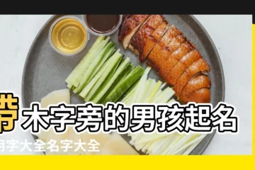 【帶木字男孩子名字】帶木字旁的男孩起名常用字大全名字大全 |木字旁最吉利的字男孩名字 |男孩起名帶木字旁名字 |