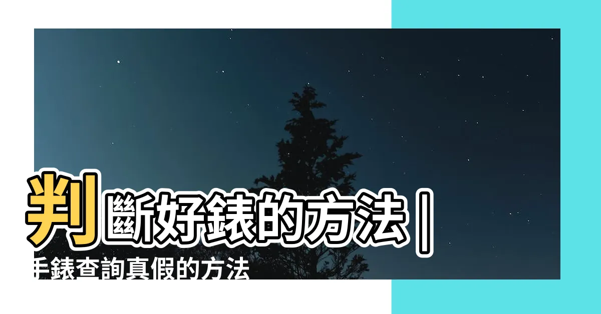 【看手錶】判斷好錶的方法 |手錶查詢真假的方法 |看手錶的男子 |