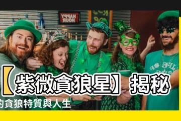 【貪狼星】【紫微貪狼星】揭秘你的貪狼特質與人生關鍵