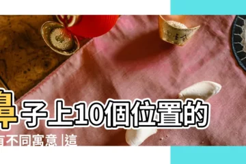 【長在鼻子旁邊的痣代表】鼻子上10個位置的痣有不同寓意 |這裏有痣是理財高手註定發達 |鼻子右邊有痣面相到底好不好 |