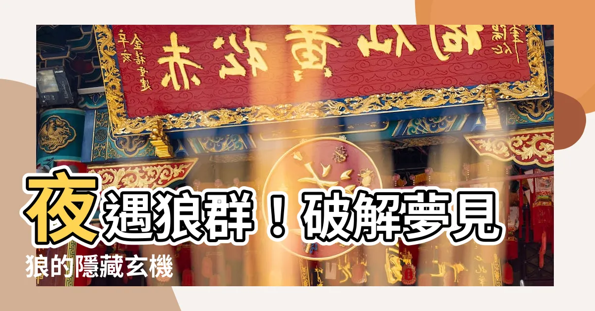 【夢見狼】夜遇狼羣！破解夢見狼的隱藏玄機