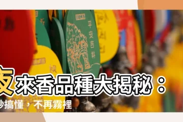 【夜來香品種】夜來香品種大揭秘：一秒搞懂，不再霧裡賞香！