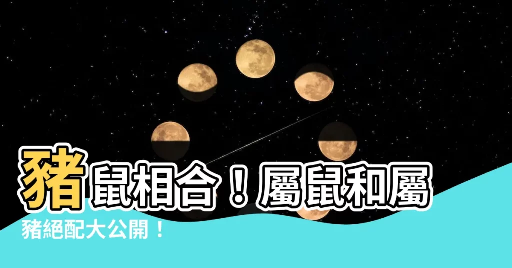 【豬鼠相合】豬鼠相合！屬鼠和屬豬絕配大公開！