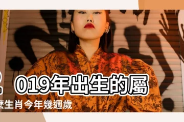 【2019年過了屬什麼】2019年出生的屬什麼生肖今年幾週歲是什麼命 |2019年豬年出生是什麼命 |是什麼屬相 |