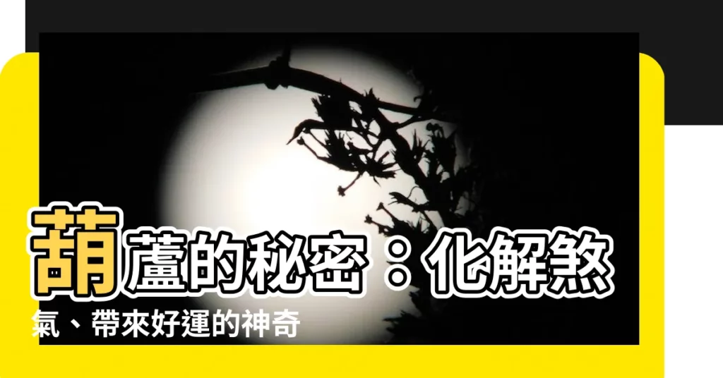 【葫蘆的作用】葫蘆的秘密：化解煞氣、帶來好運的神奇化煞神器