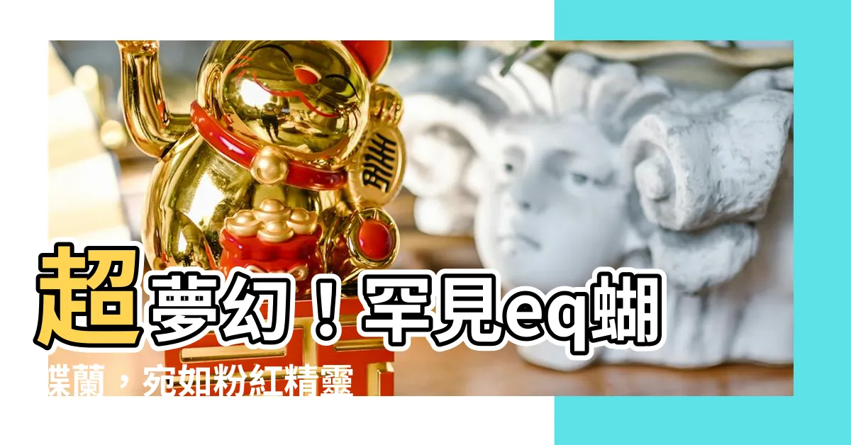 【eq蝴蝶蘭】超夢幻！罕見eq蝴蝶蘭，宛如粉紅精靈在空中飛舞