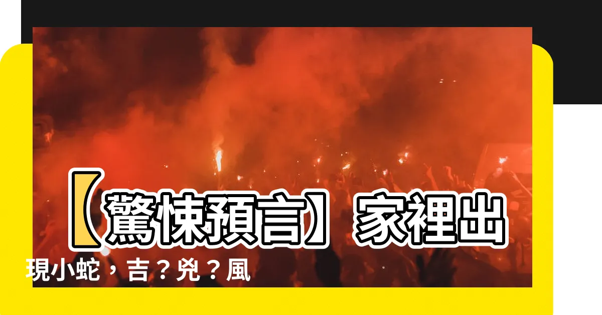 【家裡出現小蛇】【驚悚預言】家裡出現小蛇，吉？兇？風水大解析！