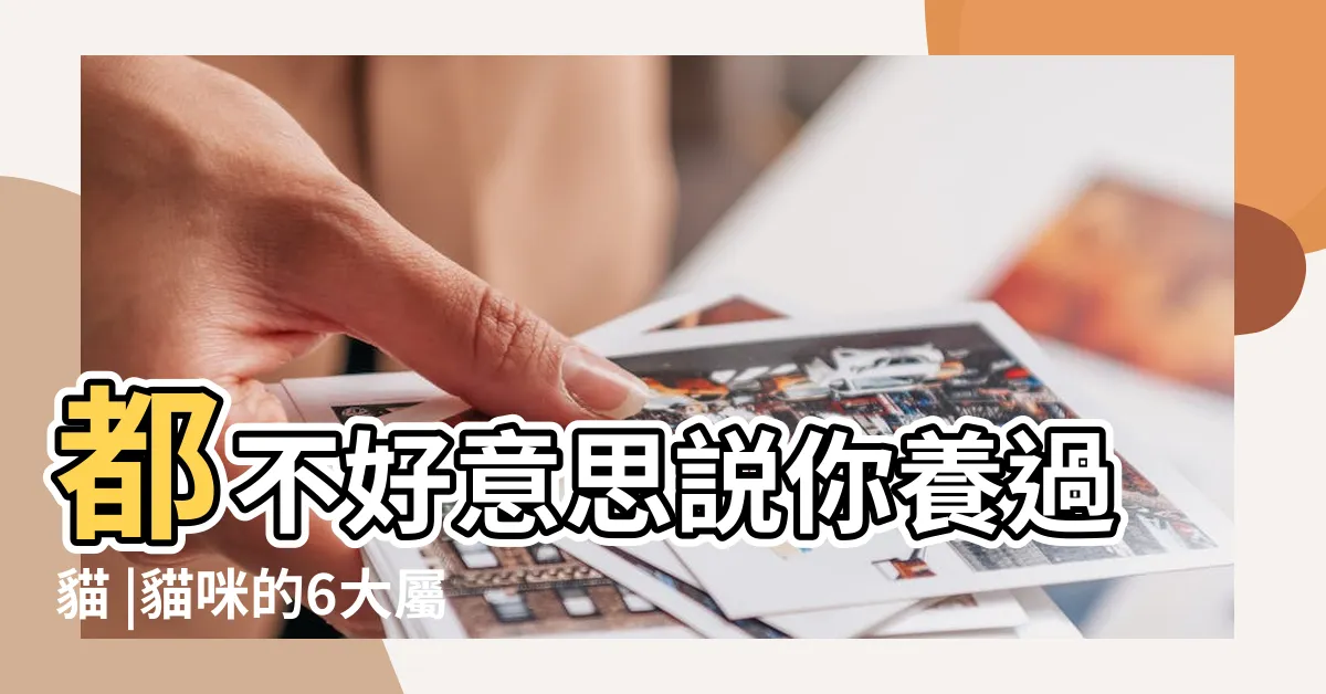 【貓咪屬性】都不好意思説你養過貓 |貓咪的6大屬性 |不知道的 |