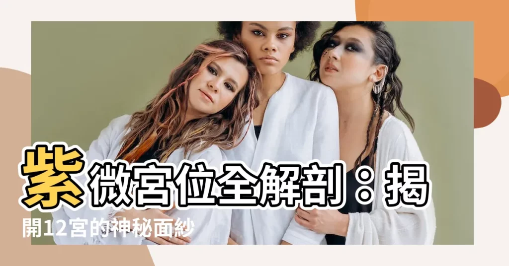 【紫微 宮位】紫微宮位全解剖：揭開12宮的神秘面紗，解析你的命運之路