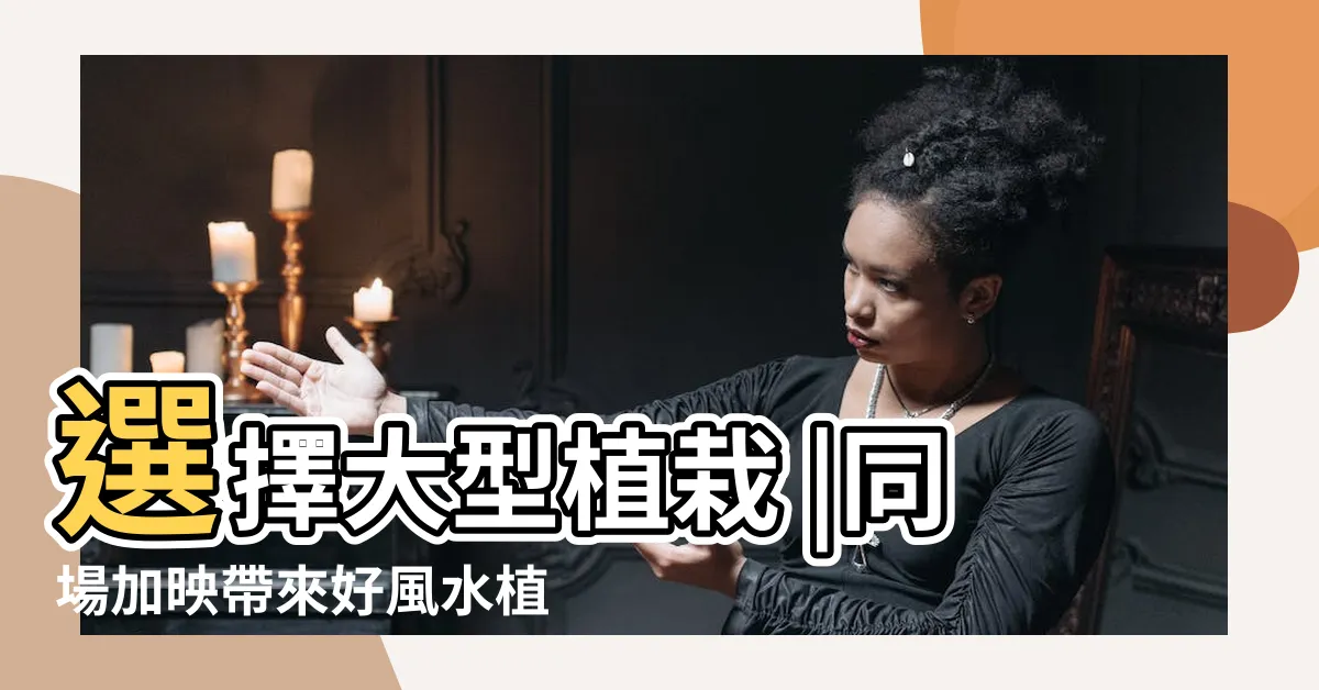 【盆空間】選擇大型植栽 |同場加映帶來好風水植物的5種特色 |2024年精選20種室內植物人氣推薦 |