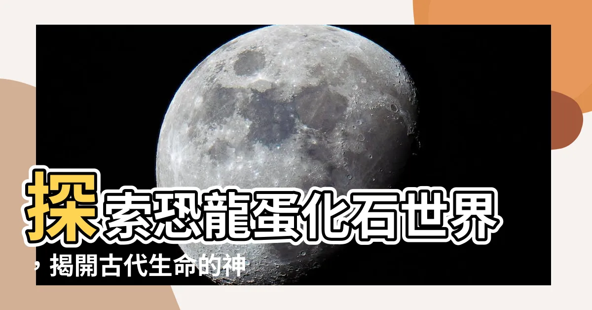 【恐龍蛋化石】探索恐龍蛋化石世界，揭開古代生命的神秘面紗！