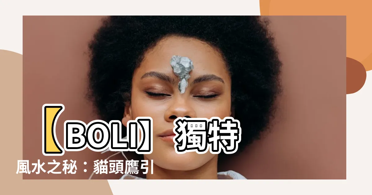【貓頭鷹風水】【BOLI】 獨特風水之秘：貓頭鷹引領好運來襲！