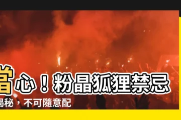 【粉晶狐狸禁忌】當心！粉晶狐狸禁忌大揭秘，不可隨意配戴！