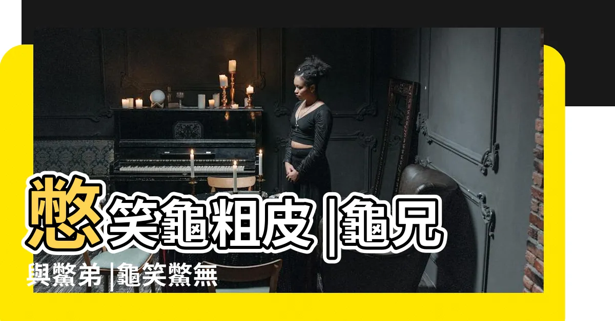 【烏龜跟鱉怎麼分】憋笑龜粗皮 |龜兄與鱉弟 |龜笑鱉無尾 |