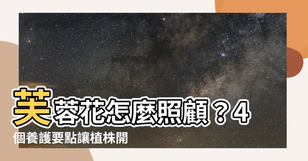 【芙蓉花怎麼照顧】芙蓉花怎麼照顧？4個養護要點讓植株開花爆盆！