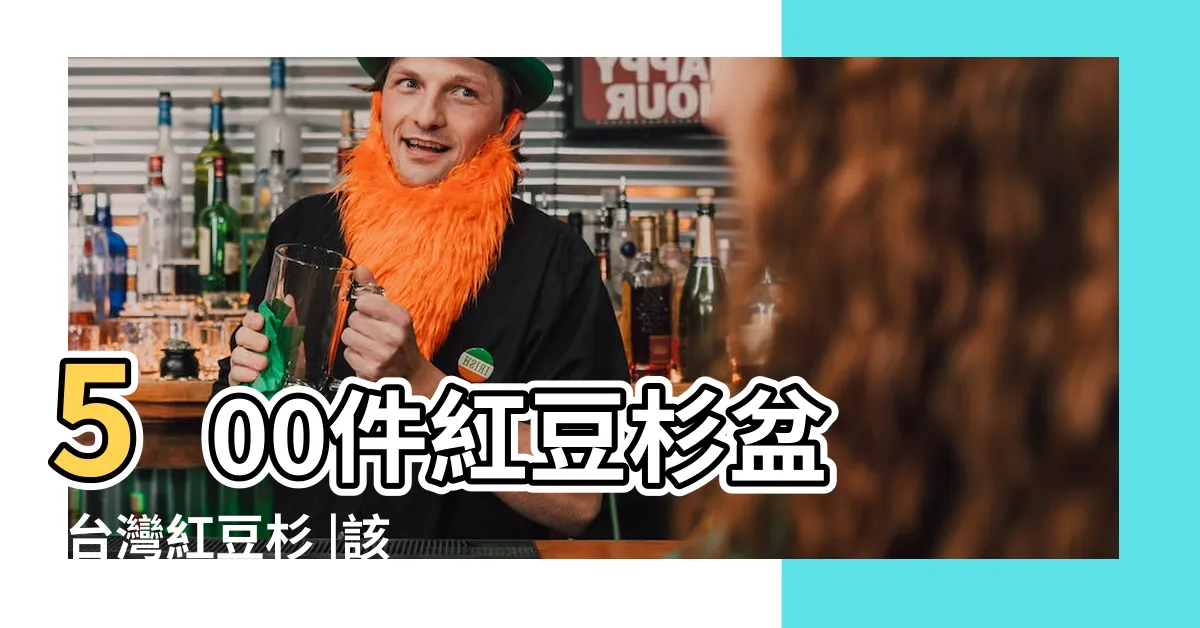 【紅豆杉盆栽】500件紅豆杉盆 |台灣紅豆杉 |該怎麼讓盆栽長得好看 |