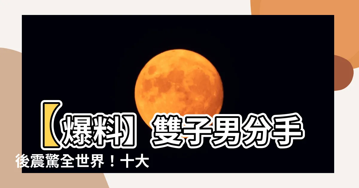 【雙子男 分手】【爆料】雙子男分手後震驚全世界！十大後悔之舉讓你絕對服氣！