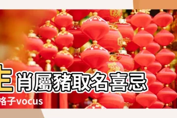 【屬豬人可以取什麼樣的名字】生肖屬豬取名喜忌 |方格子vocus |屬豬人起名字有什麼講究 |