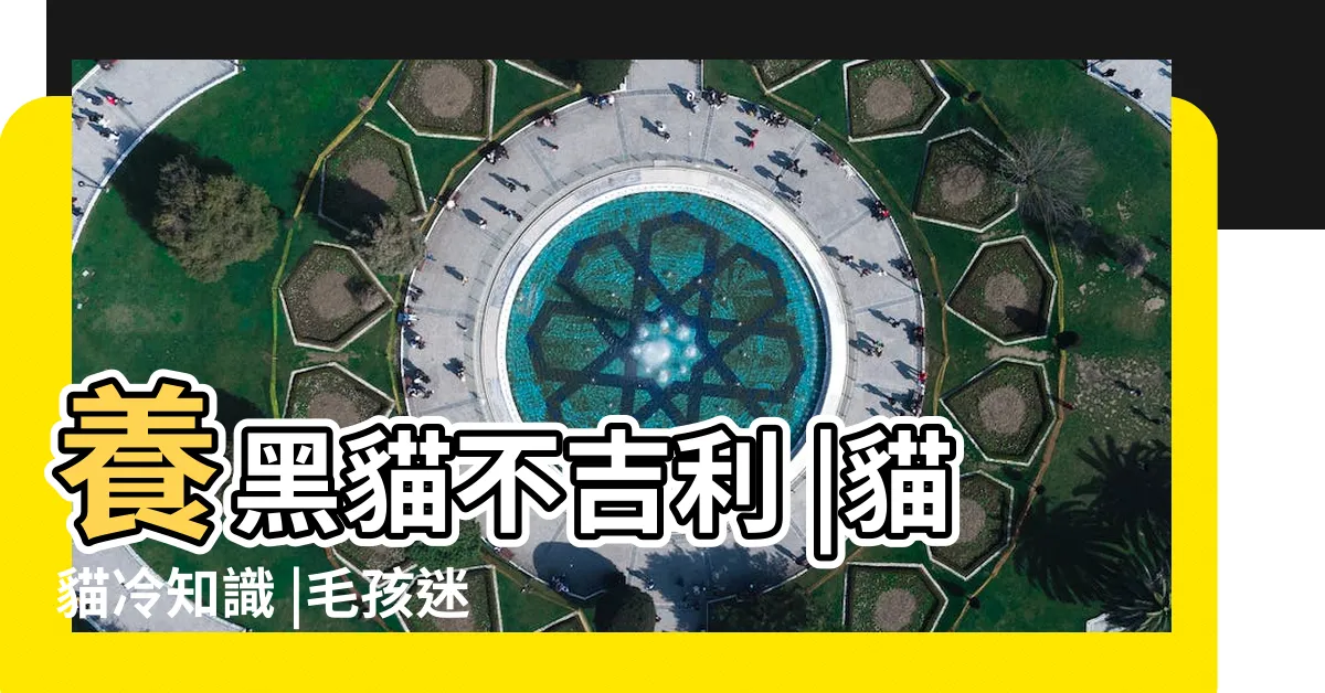 【黑貓 意義】養黑貓不吉利 |貓貓冷知識 |毛孩迷思 |