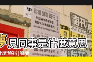 【夢見老婆公司同事做自己車】夢見同事是什麼意思有什麼預兆 |解夢大師 |不是發橫財就是快升職 |