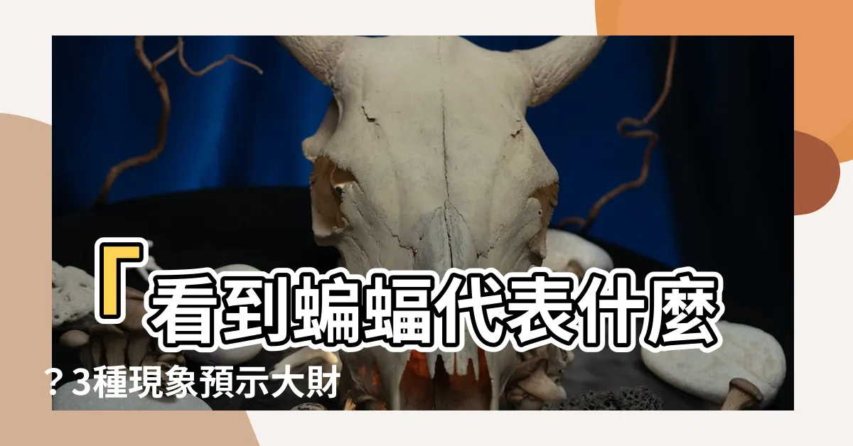 【看到蝙蝠代表什麼】「看到蝙蝠代表什麼？3種現象預示大財神到來！」