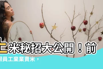 【上米】上米秘招大公開！前私銀員工棄業賣米，靠3招每季狂銷3個貨櫃
