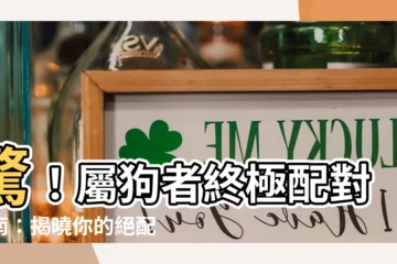 【生肖狗配對】驚！屬狗者終極配對指南：揭曉你的絕配屬相！