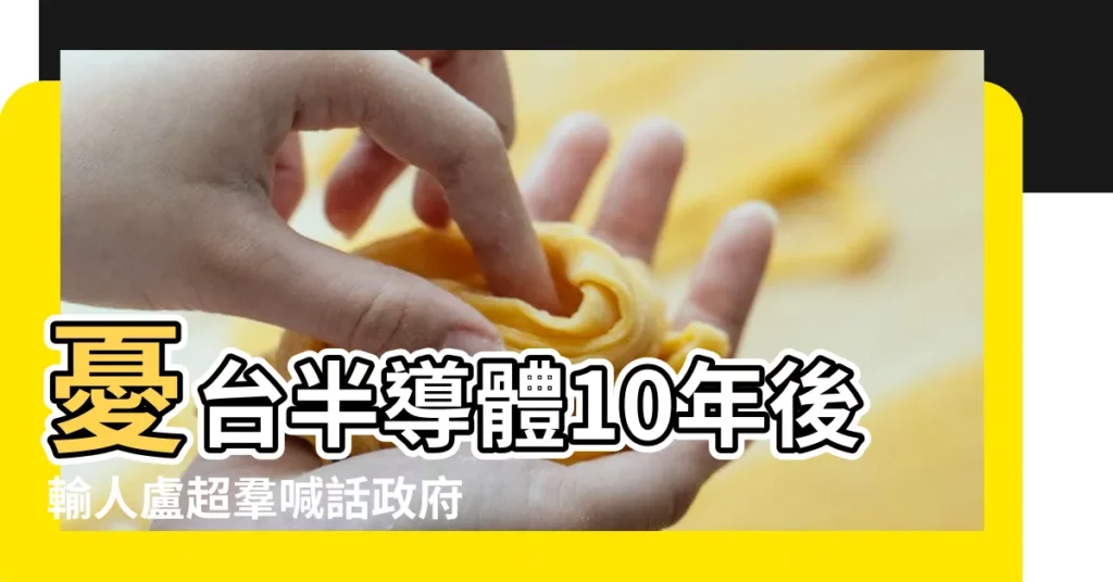 憂台半導體10年後輸人盧超羣喊話政府快推 |鈺創科技盧超羣董事長談台灣半導體產業 |【盧店鎮以後發展方向】