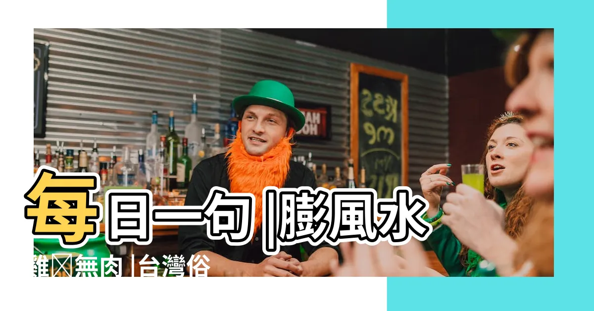 【澎風水雞】每日一句 |膨風水雞刣無肉 |台灣俗語 |