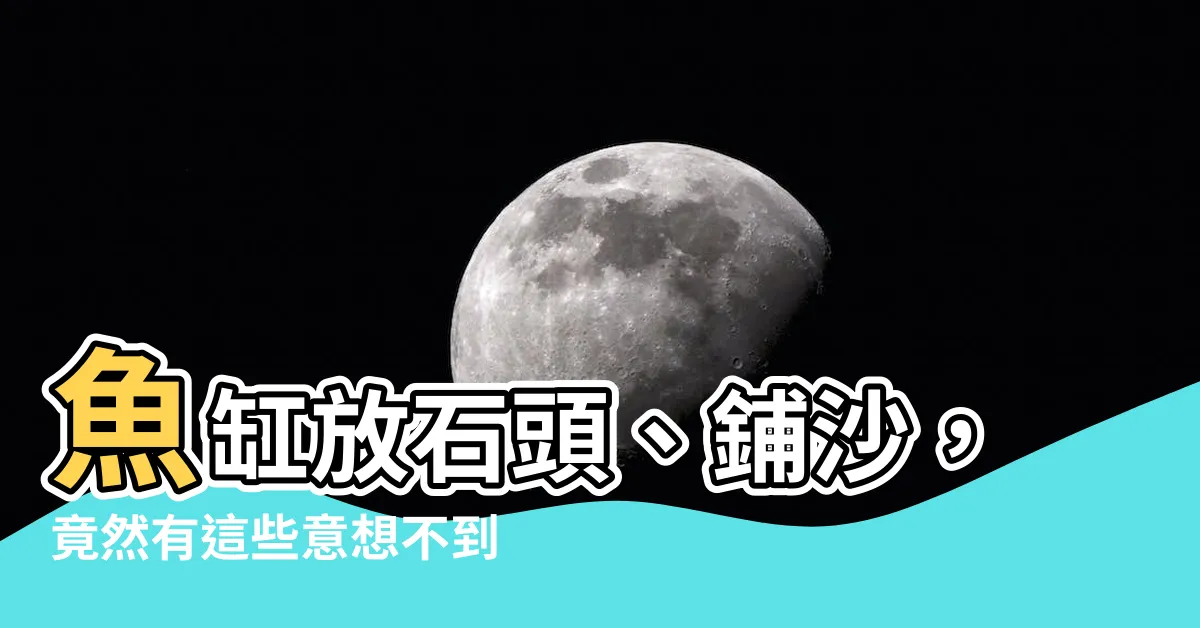 【魚缸放石頭】魚缸放石頭、鋪沙，竟然有這些意想不到的妙用！