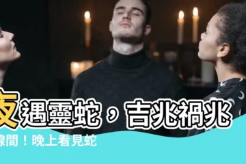 【晚上看見蛇有什麼徵兆】夜遇靈蛇，吉兆禍兆一線間！晚上看見蛇的驚悚徵兆大公開