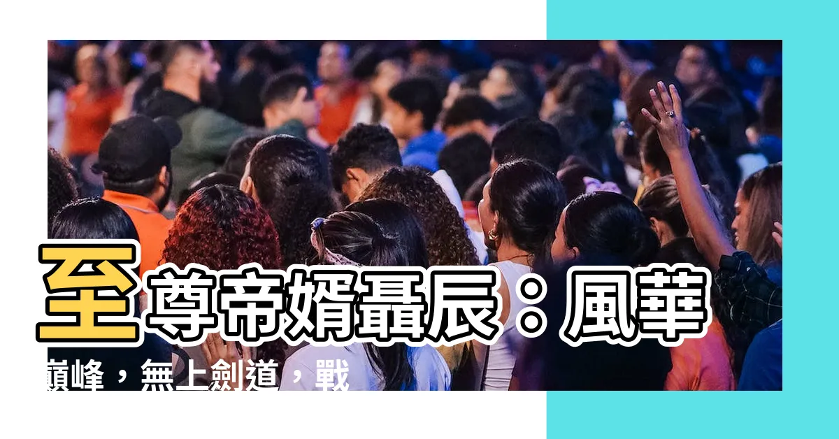 【至尊帝婿聶辰】至尊帝婿聶辰：風華巔峯，無上劍道，戰天鬥地