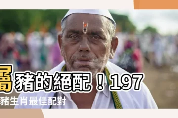 【1971生肖配對】屬豬的絕配！1971屬豬生肖最佳配對大公開