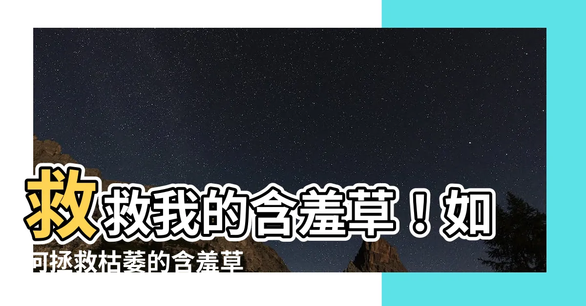 【含羞草枯萎】救救我的含羞草！如何拯救枯萎的含羞草植物？