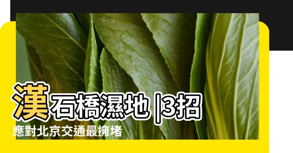 漢石橋濕地 |3招應對北京交通最擁堵9月將有5個重點日 |市郊鐵路線路信息 |【北京2017年7月12日交通】