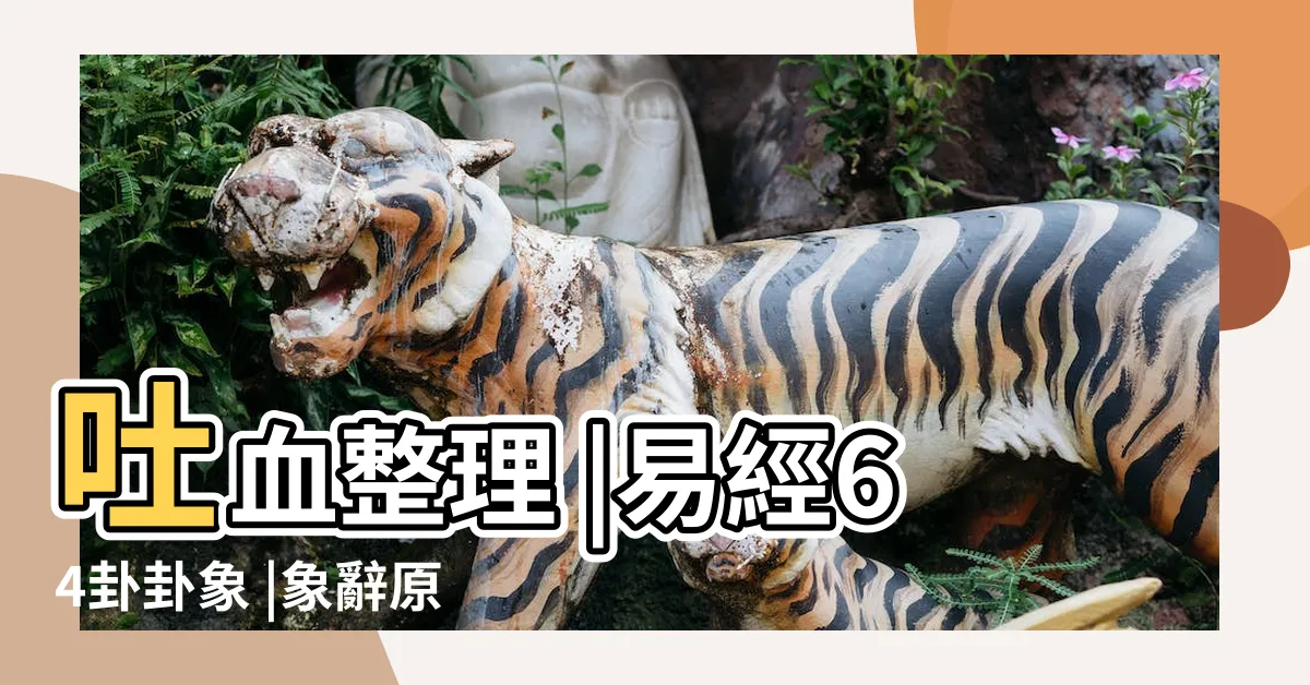 【易經爻辭】吐血整理 |易經64卦卦象 |象辭原文完整版 |