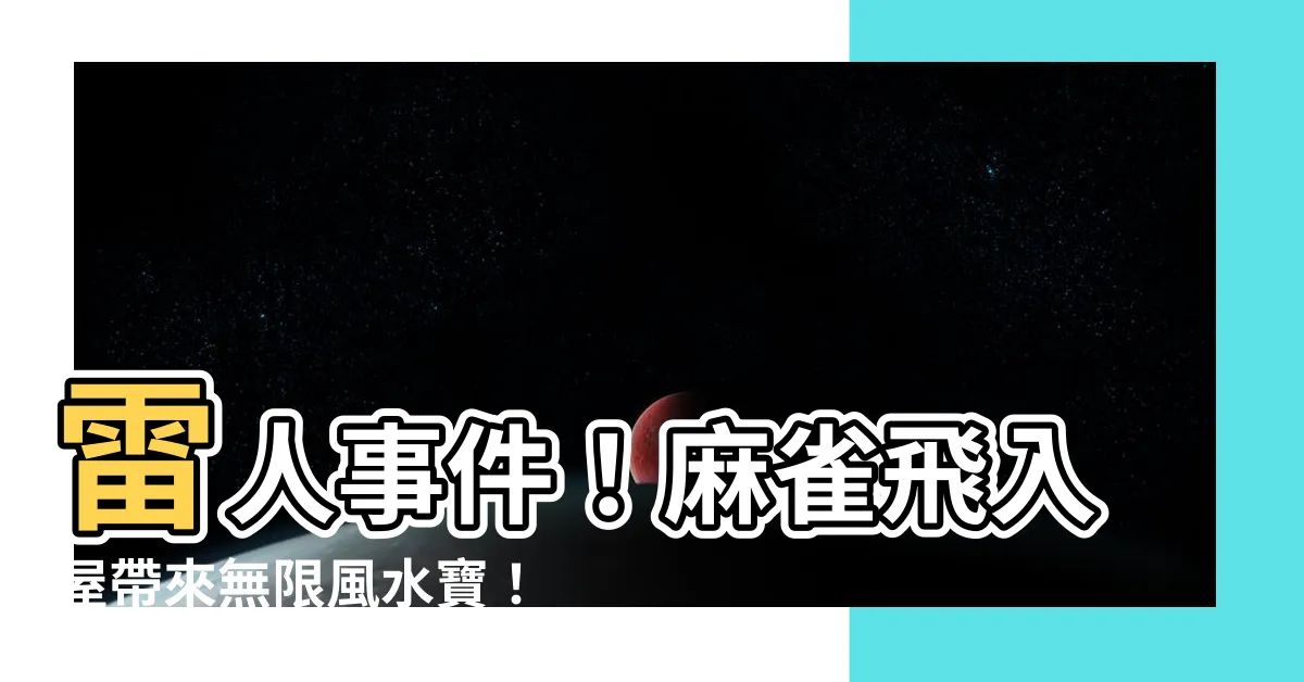 【麻雀飛入屋】雷人事件！麻雀飛入屋帶來無限風水寶！你絕對不敢相信！