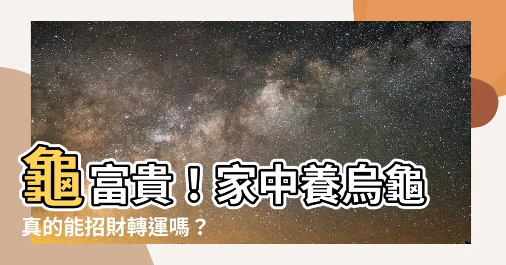 【烏龜會招財嗎】龜富貴！家中養烏龜真的能招財轉運嗎？