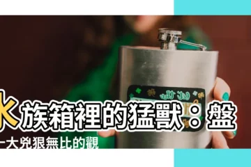 【很兇的魚】水族箱裡的猛獸：盤點十大兇狠無比的觀賞魚