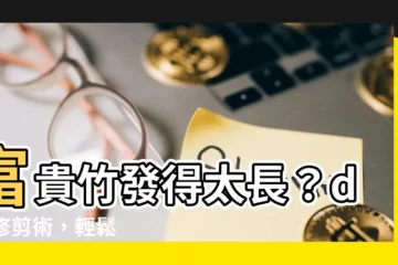 【富貴竹 修剪】富貴竹發得太長？diy 修剪術，輕鬆打造理想高度！