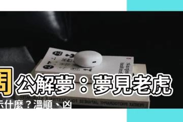 【周公解夢 老虎】周公解夢：夢見老虎預示什麼？温順、兇猛都有隱喻