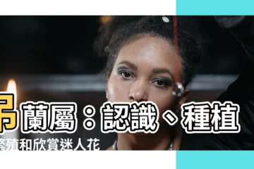 【吊蘭屬】吊蘭屬：認識、種植、繁殖和欣賞迷人花卉