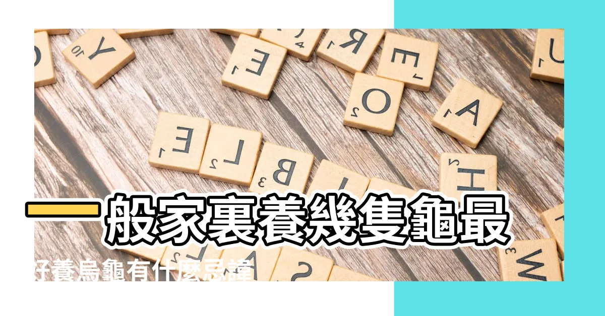 【家裡可以養幾隻烏龜】一般家裏養幾隻龜最好養烏龜有什麼忌諱 |家裏養烏龜養幾隻比較吉利家裏養龜十大禁忌 |烏龜養幾隻比較吉利旺財 |