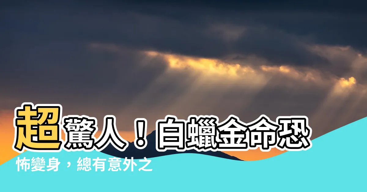【白蠟金】超驚人！白蠟金命恐怖變身，總有意外之財等著你！