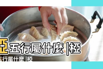 【椏字什麼屬性】椏五行屬什麼 |椏字五行屬什麼 |椏字五行屬什麼 |