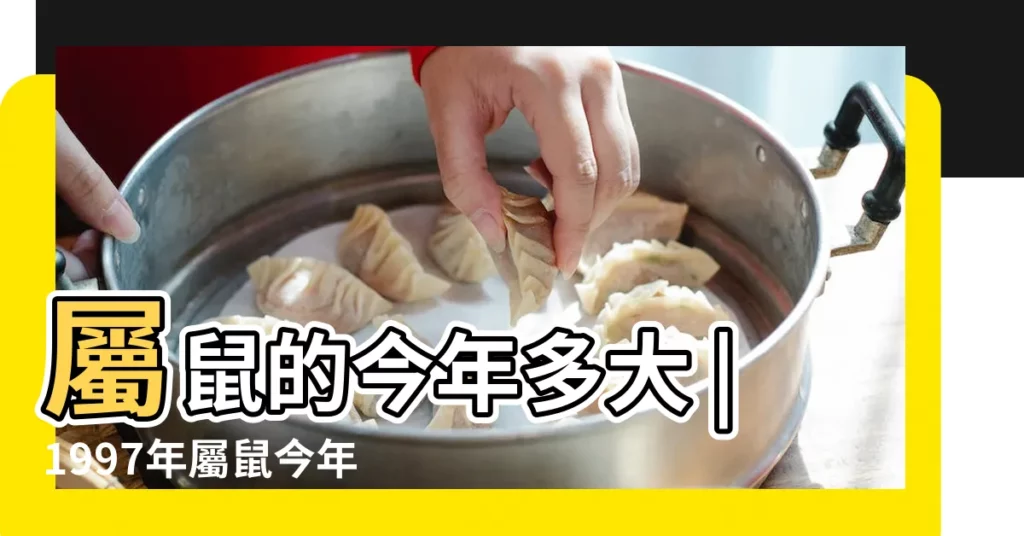 屬鼠的今年多大 |1997年屬鼠今年多大2023 |屬鼠的今年多大2023 |【鼠的今年多大歲數1997年的】