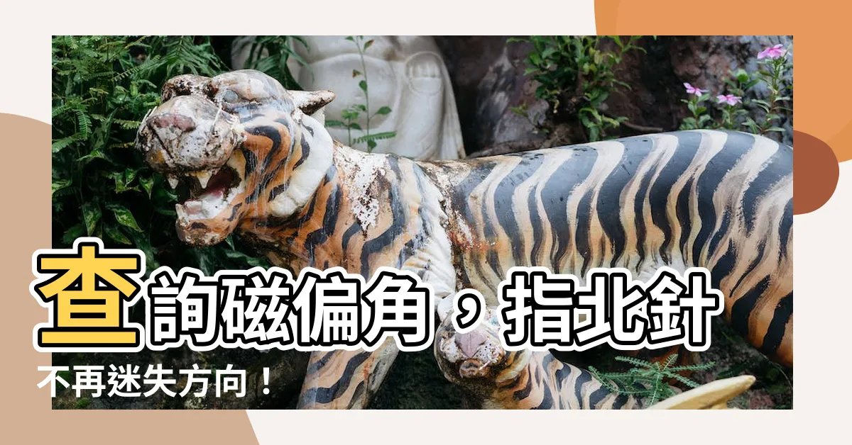 【磁偏角查詢】查詢磁偏角，指北針不再迷失方向！